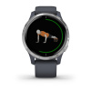 Garmin Venu - | Granite Blue with Silver Hardware